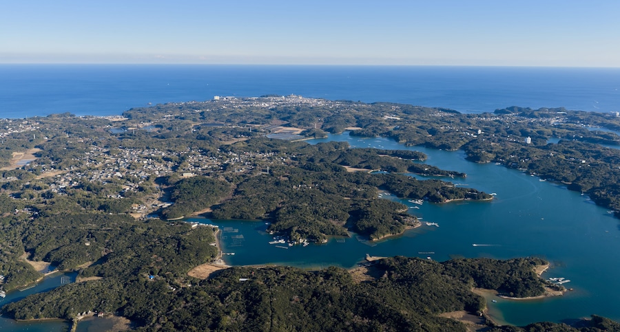 An aerial view of a coastal town with dense greenery, a bay with boats, and a clear blue sky.