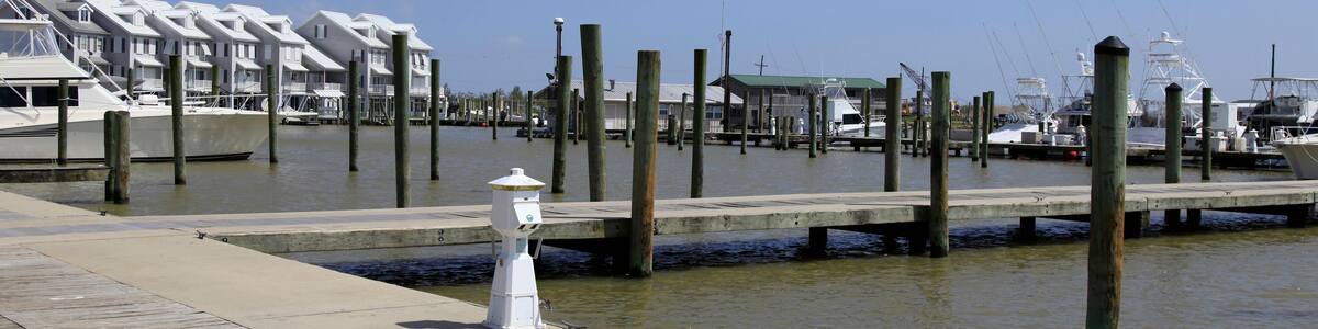 Cypress Cove Marina in Venice with Lodges, Louisiana