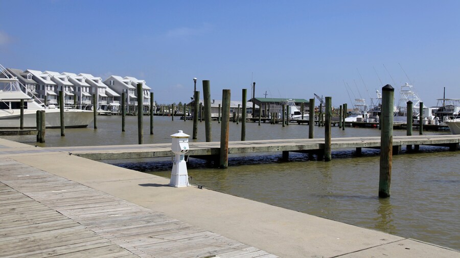 Cypress Cove Marina in Venice with Lodges, Louisiana