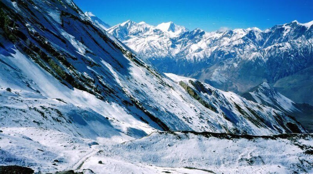 0_658ed156-1821-448e-927c-11cc5f869179_raw