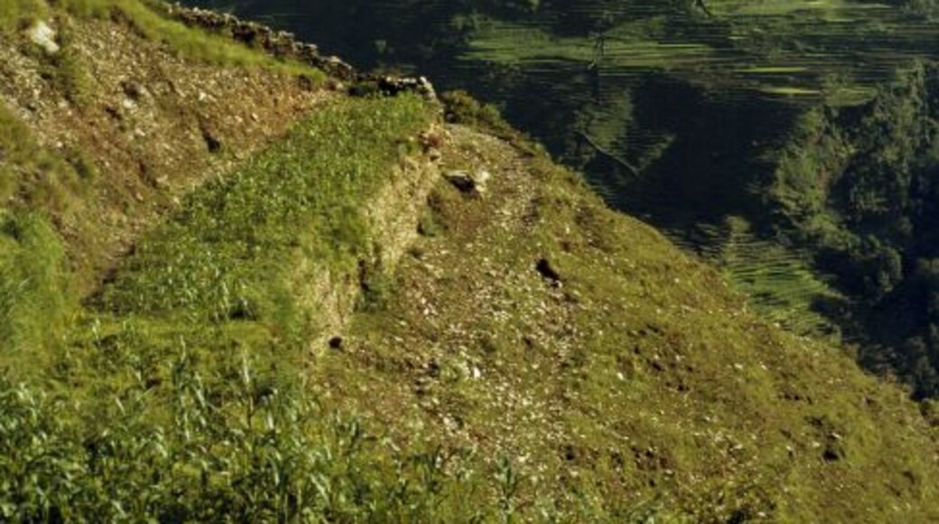 Annapurna Massif, Himalaya, Nepal.