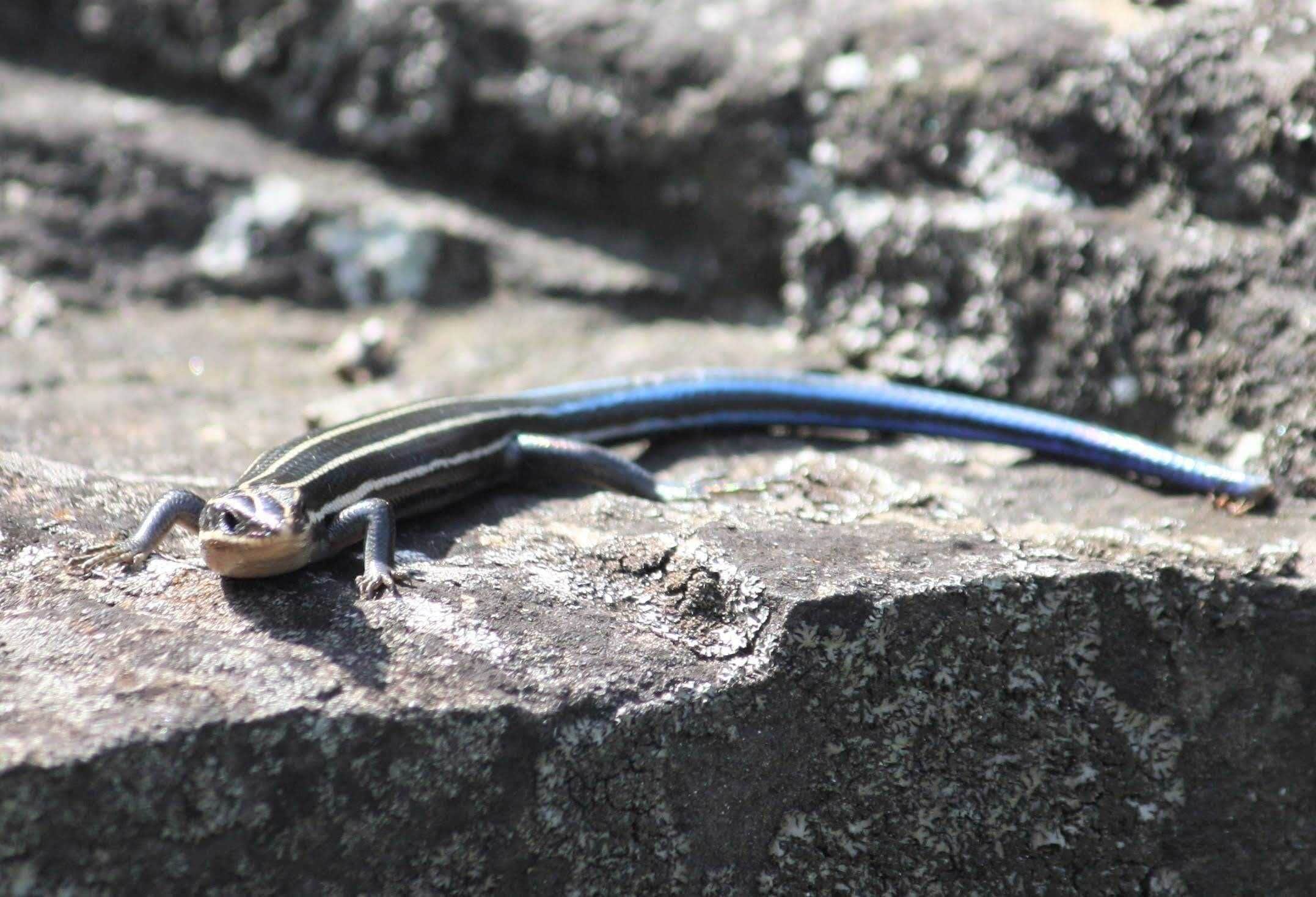 Beautiful place. Serene at times. Nice areas for meditation.