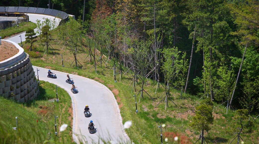 Skyline Luge Tongyeong as well as a small group of people