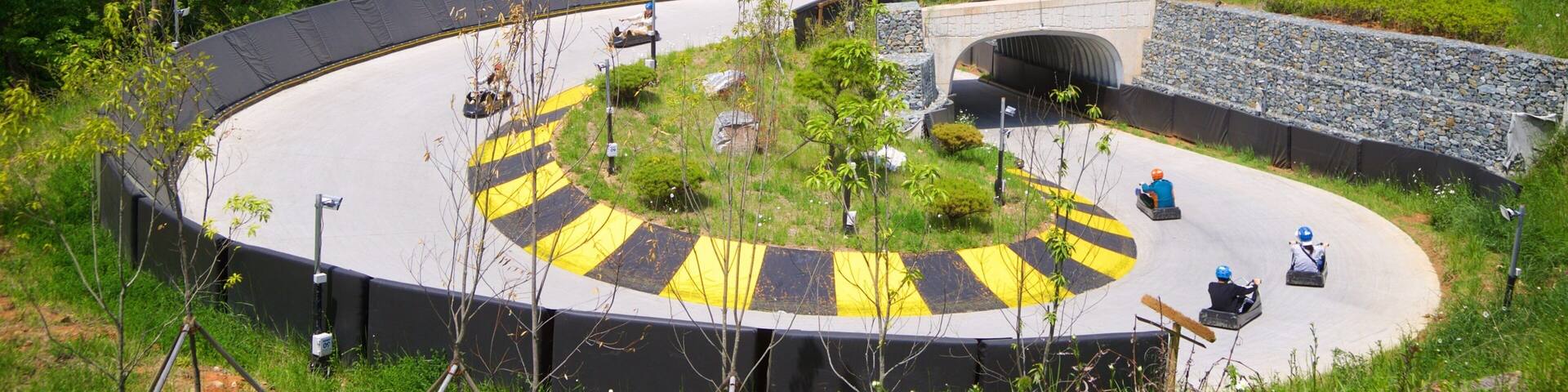 Skyline Luge Tongyeong as well as a small group of people