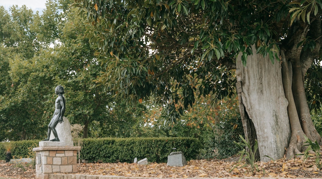 Centenary Park showing a statue or sculpture and a park