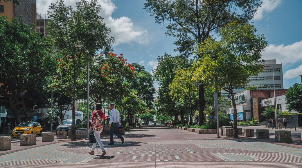 EyeEm Custom Shoots Q4 2018