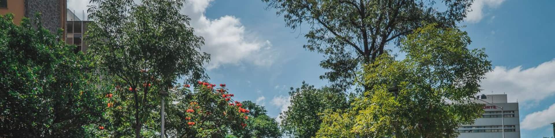 EyeEm Custom Shoots Q4 2018