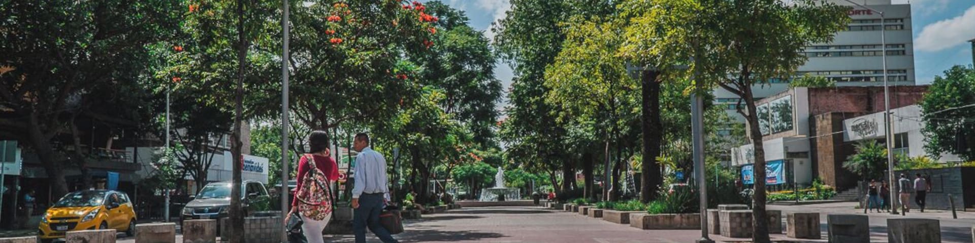 EyeEm Custom Shoots Q4 2018