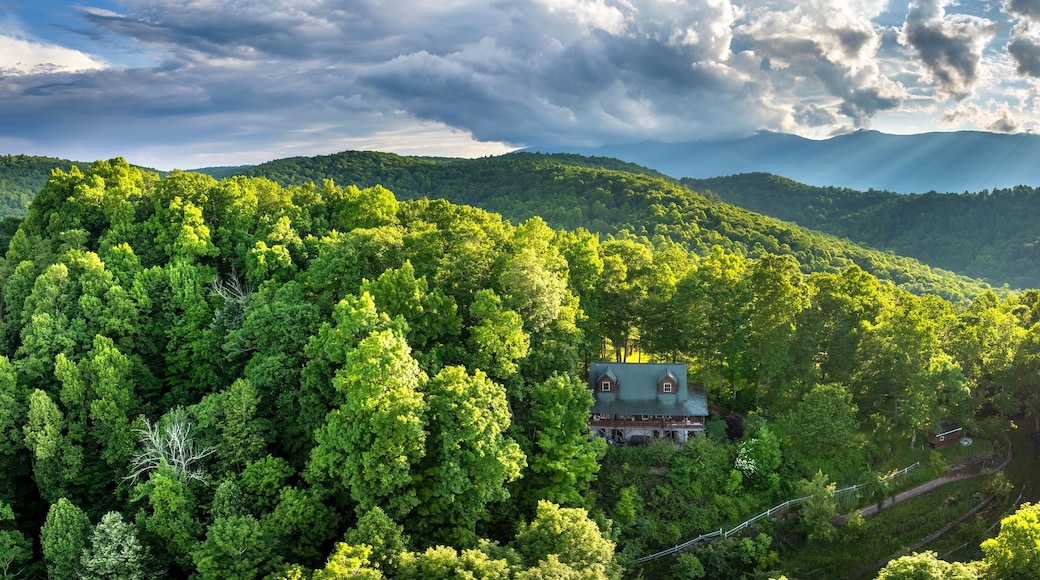 Una casa rodeada de un denso bosque verde, con montañas al fondo y luz solar filtrándose entre las nubes.