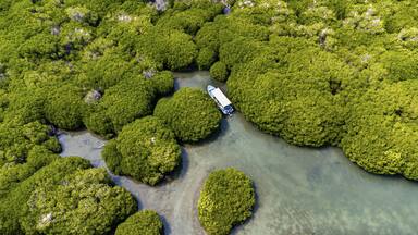Aerial of the Mangrove forest, Farasan islands, Kingdom of Saudi Arabia
