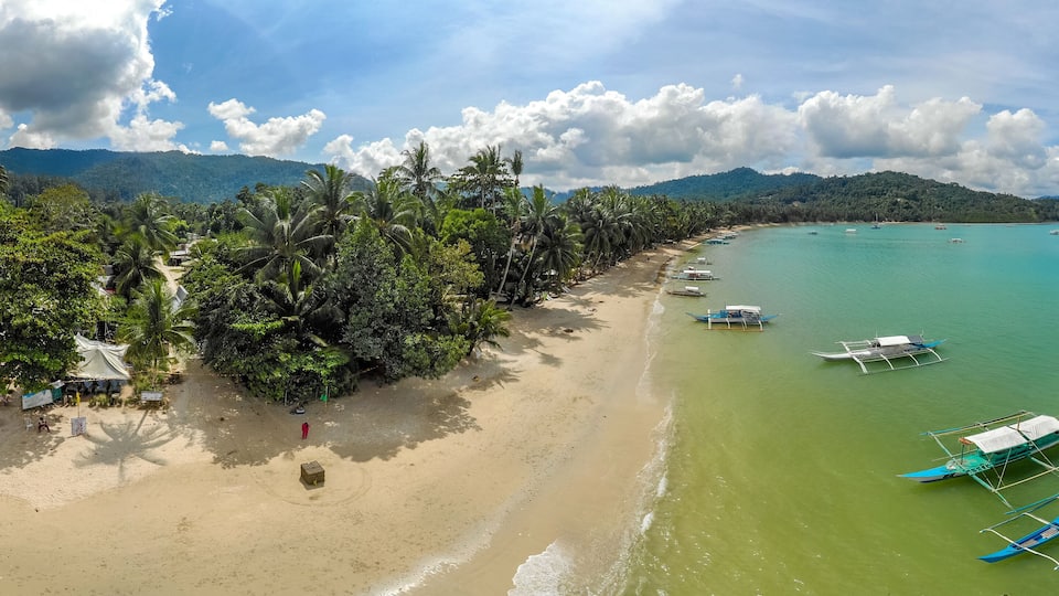 A beach with palm trees, boats, and a mountain in the background.