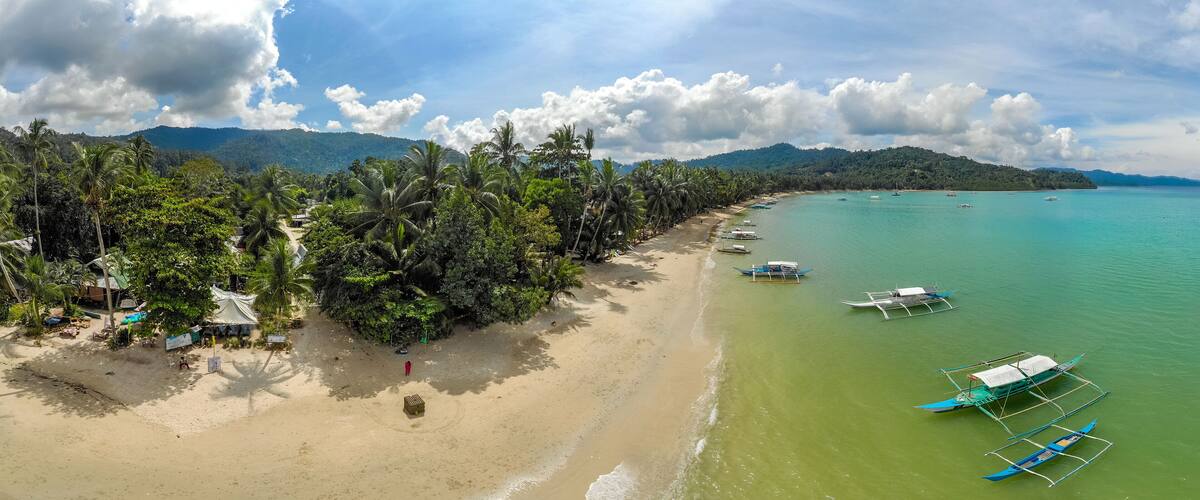 A beach with palm trees, boats, and a mountain in the background.