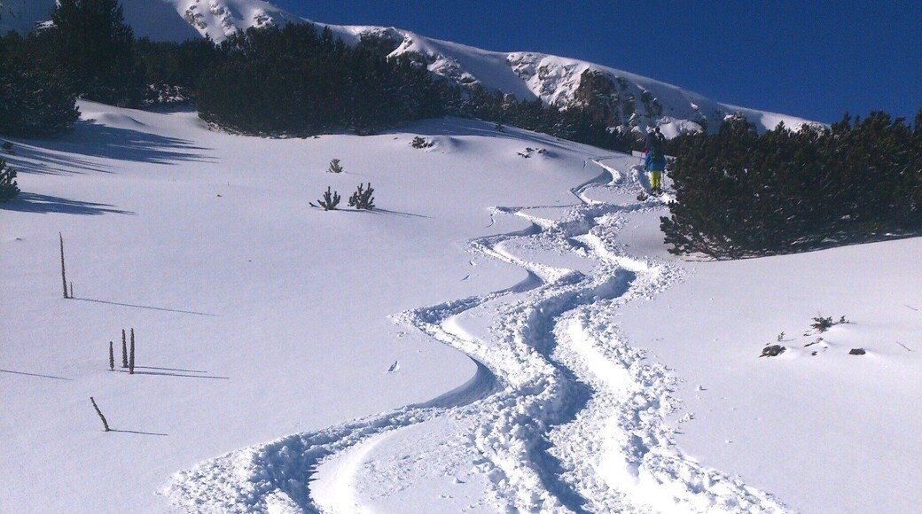 Freshies in the back country of Bulgaria was quite an adventure! We stayed at Seven Lakes Chalet, which sits at the top of the ski lift in the Rila Lakes National Park. #ski #Bulgaria #travel #chalet #snow #backcountry #patterns #mountains