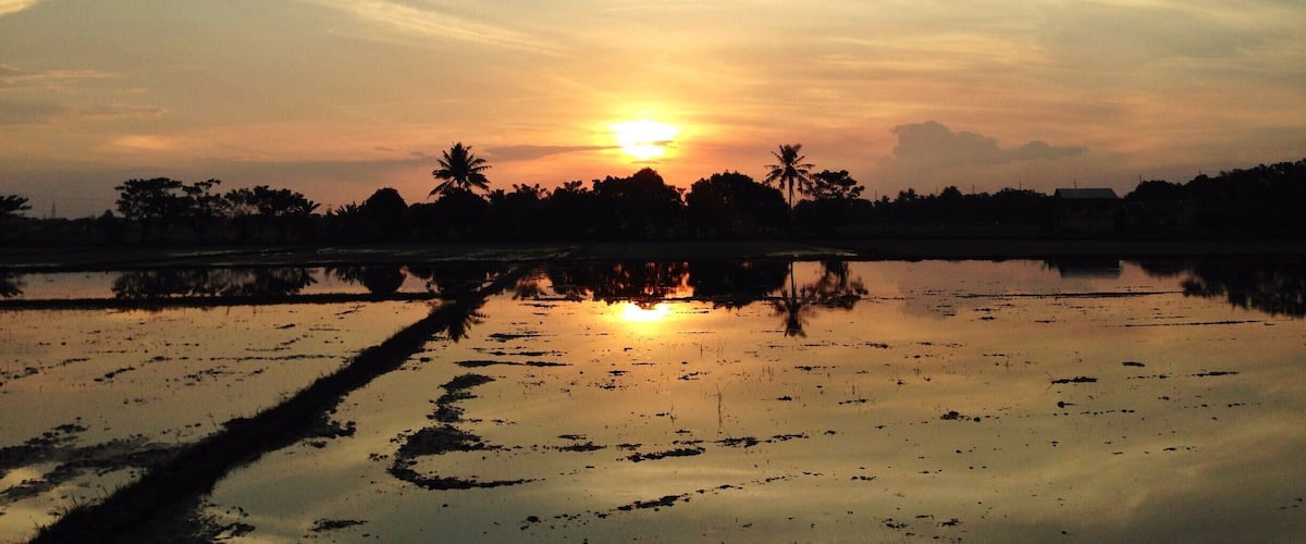 A small barrio in Malolos City, capital of the province of Bulacan. A community with rice fields as major agricultural product. A place to inhale and breathe fresh air. #Bulacan #GoldenHour