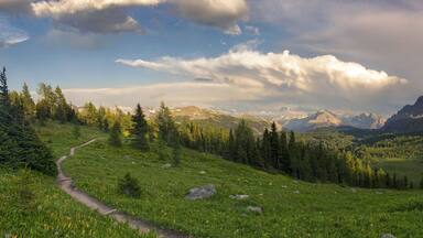 Dramatic Stormy Sky and Wide Panoramic Landscape of Healy Pass Meadows on a great summertime hiking trail in Canadian Rocky Mountains, Banff National Park