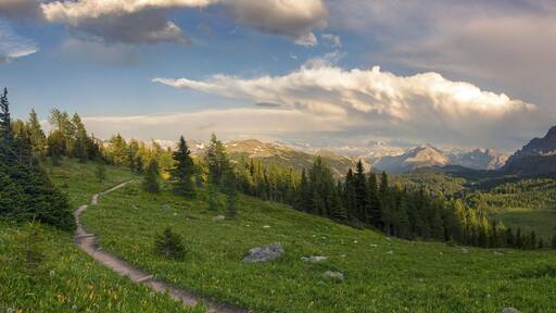 Dramatic Stormy Sky and Wide Panoramic Landscape of Healy Pass Meadows on a great summertime hiking trail in Canadian Rocky Mountains, Banff National Park