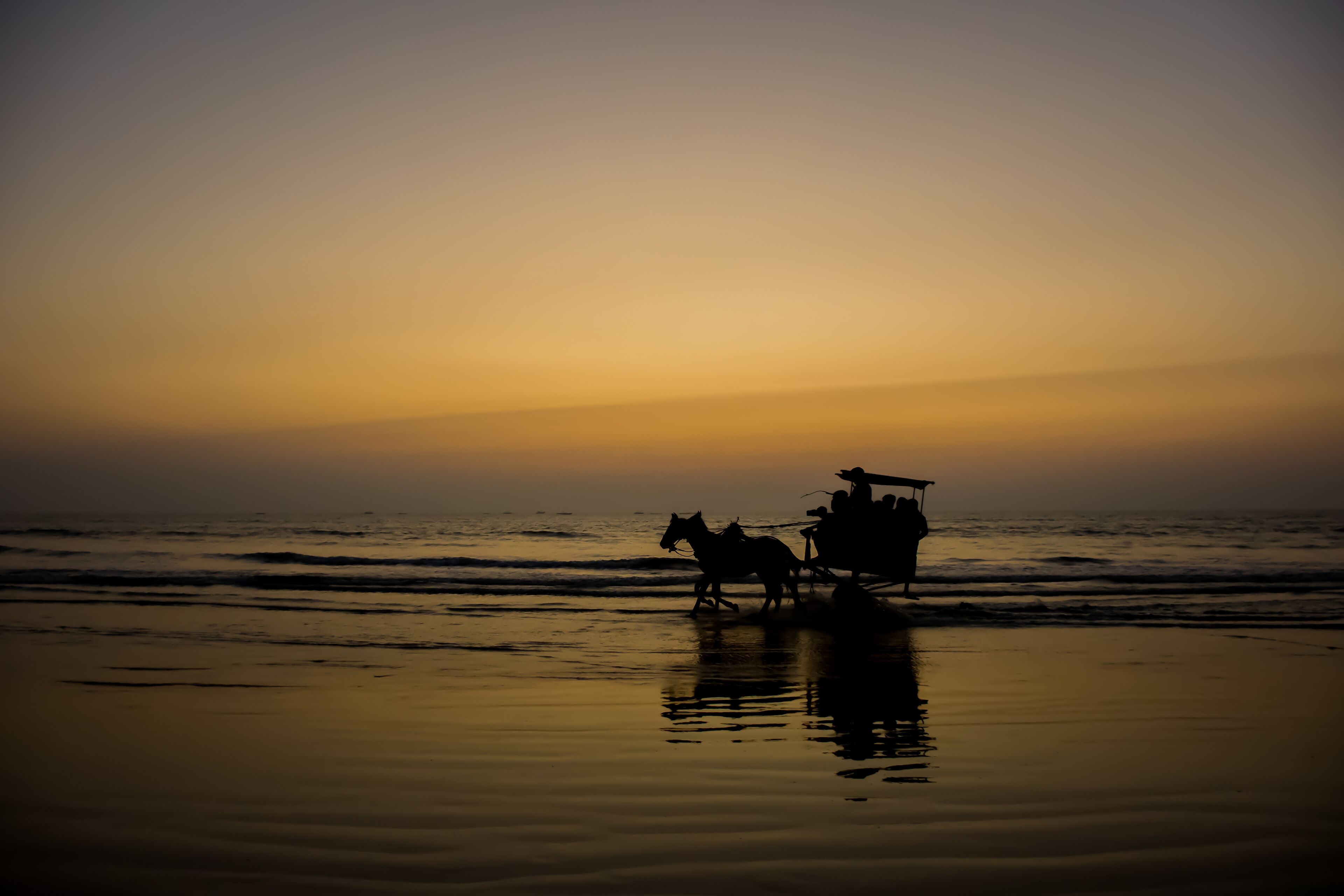 Silhouette of a horse cart running through water at a beach in India