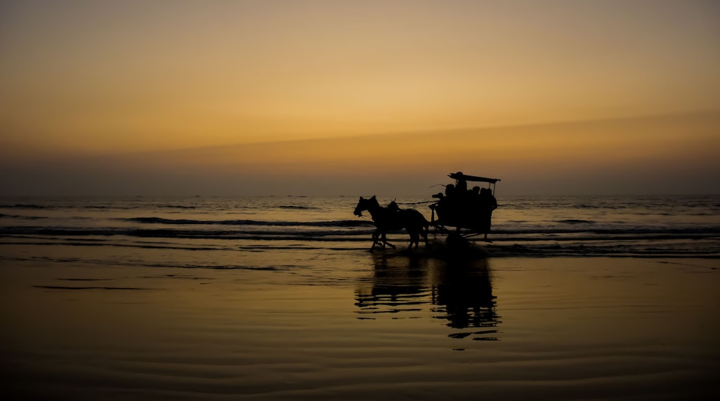 Silhouette of a horse cart running through water at a beach in India