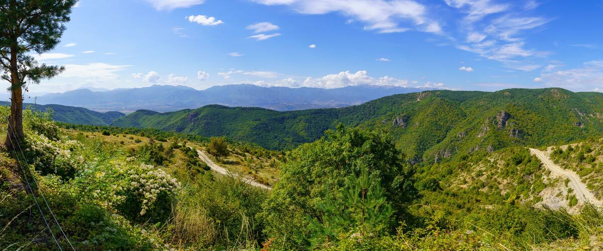 A mountainous landscape with a dirt path, dense greenery, and distant mountains under a clear sky.