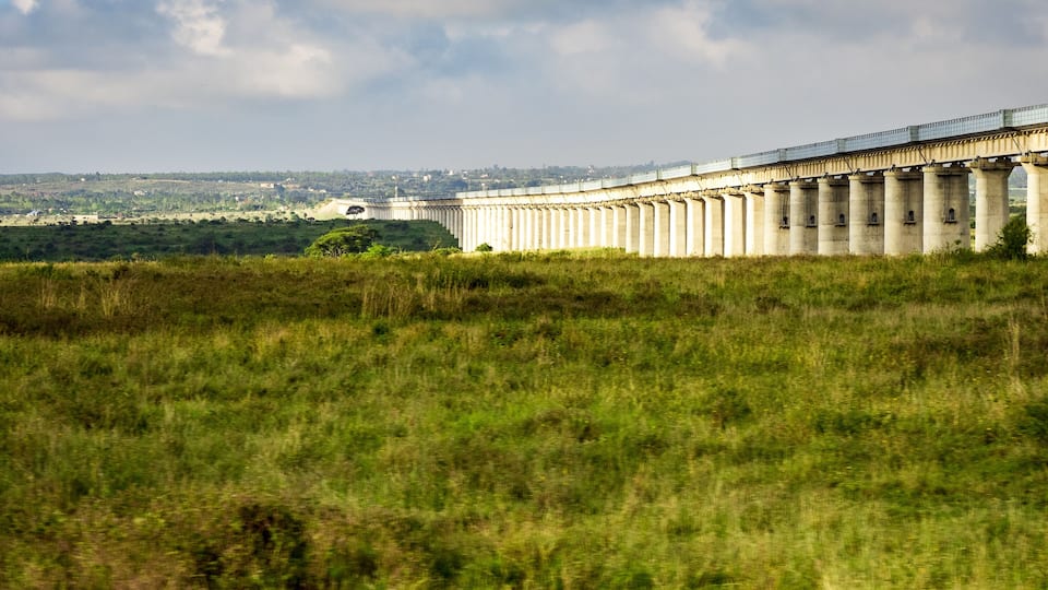 A long bridge with multiple columns spanning a grassy field.