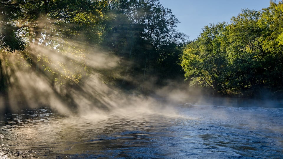 Un río con luz solar filtrándose entre los árboles, creando una atmósfera brumosa.