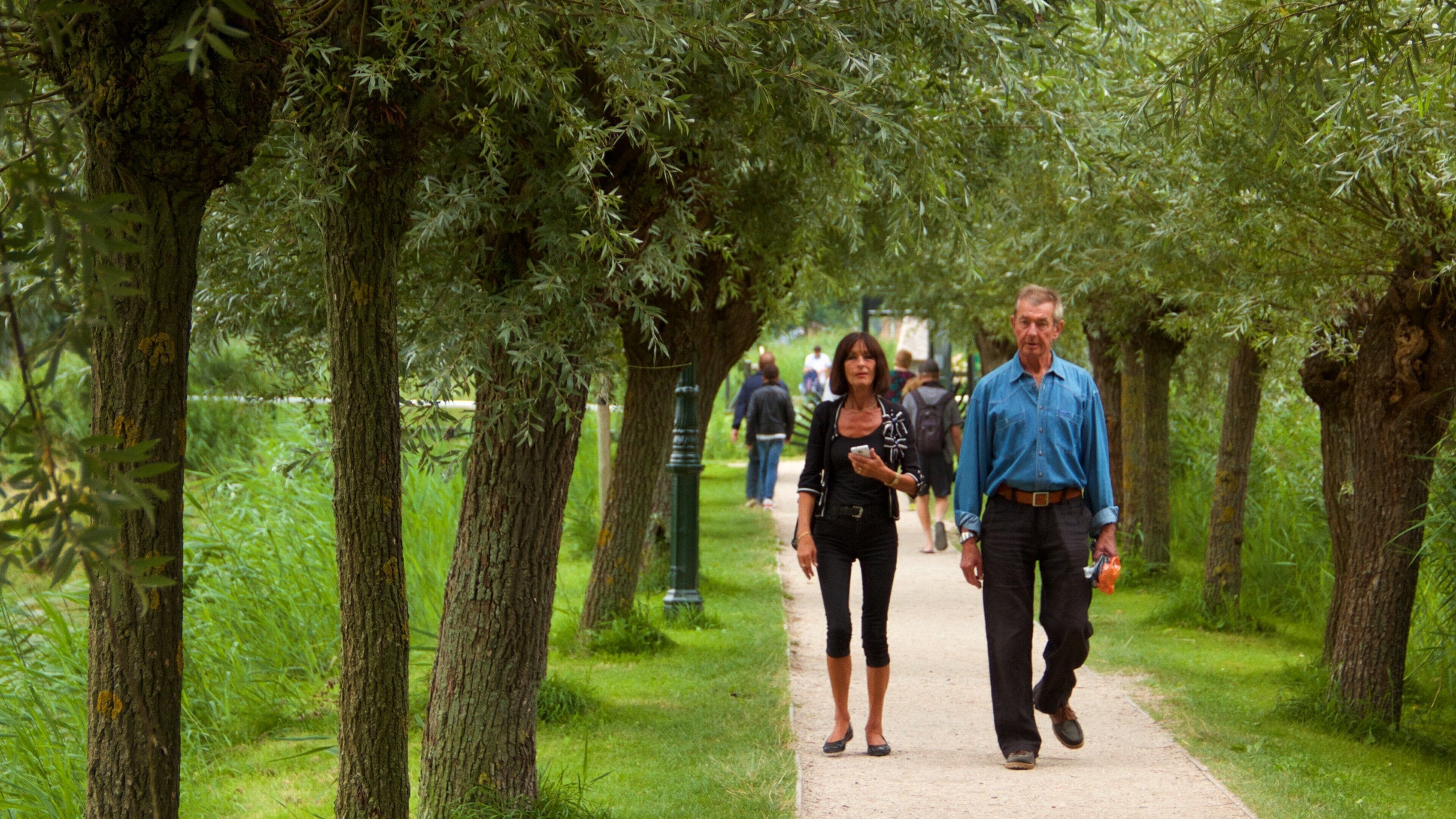 Zaanse Schans which includes a park and hiking or walking as well as a couple