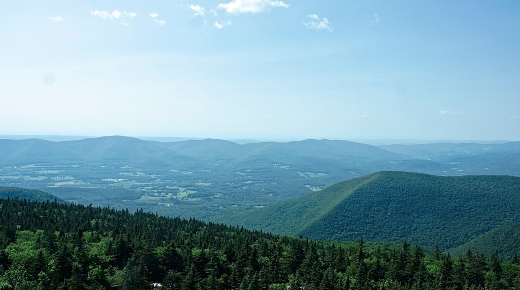 North View from atop the war memorial on Mount Greylock in Adams, Massachusetts. On clear days you can see into New York and Vermont as well.