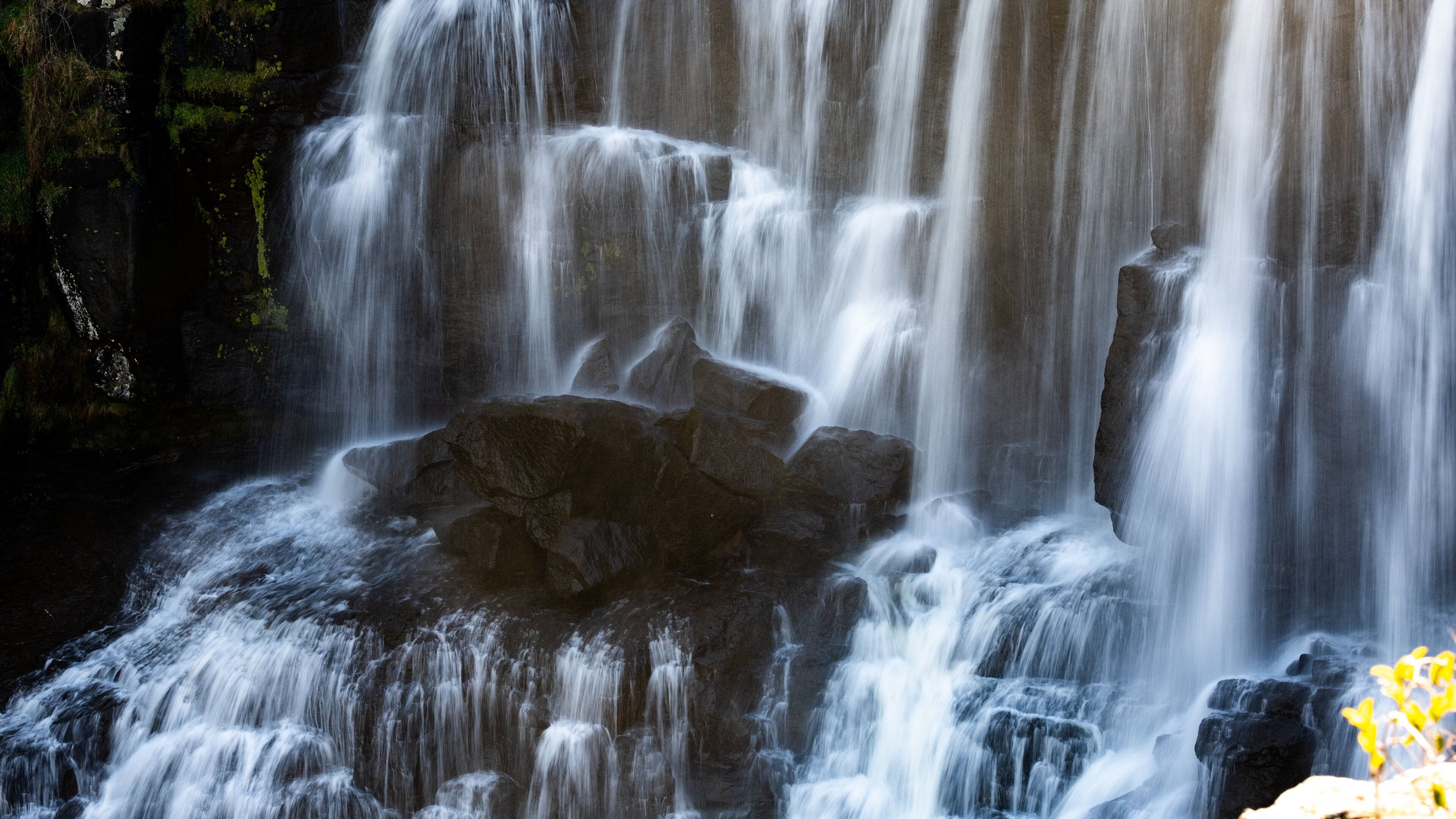 Ebor Falls featuring a cascade