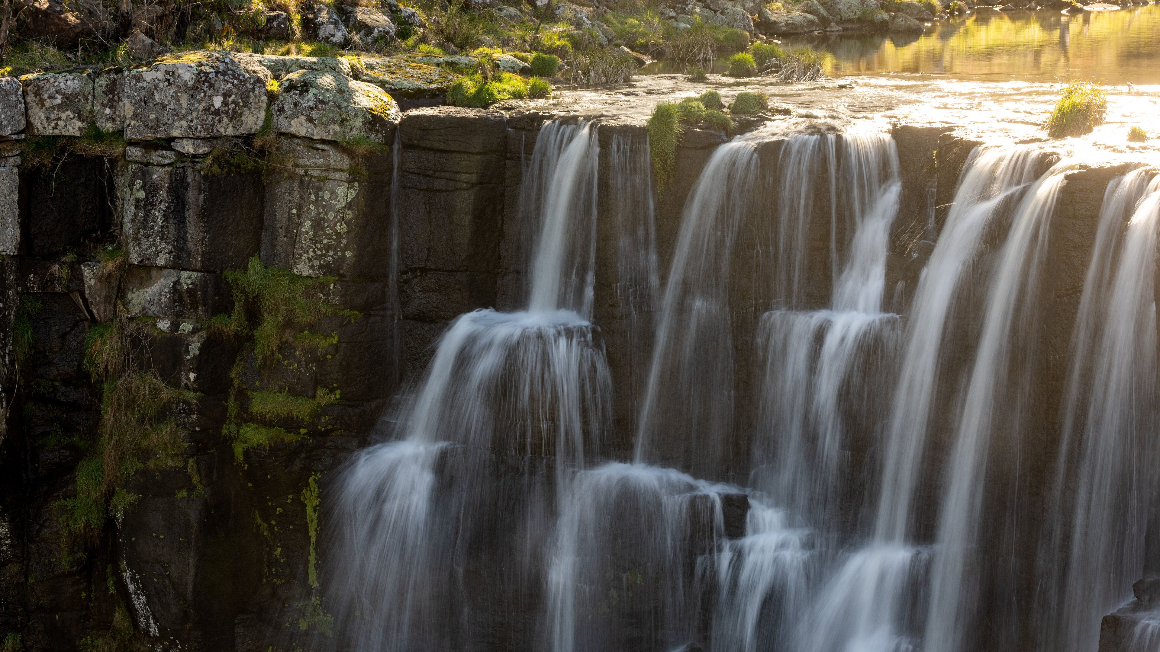 Ebor Falls showing a waterfall