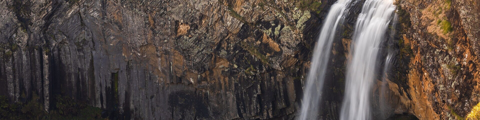 Ebor Falls featuring a cascade