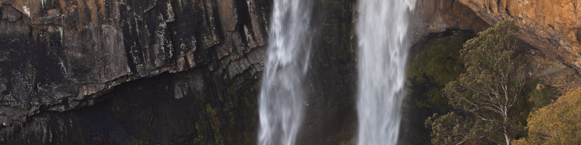 Ebor Falls featuring a cascade