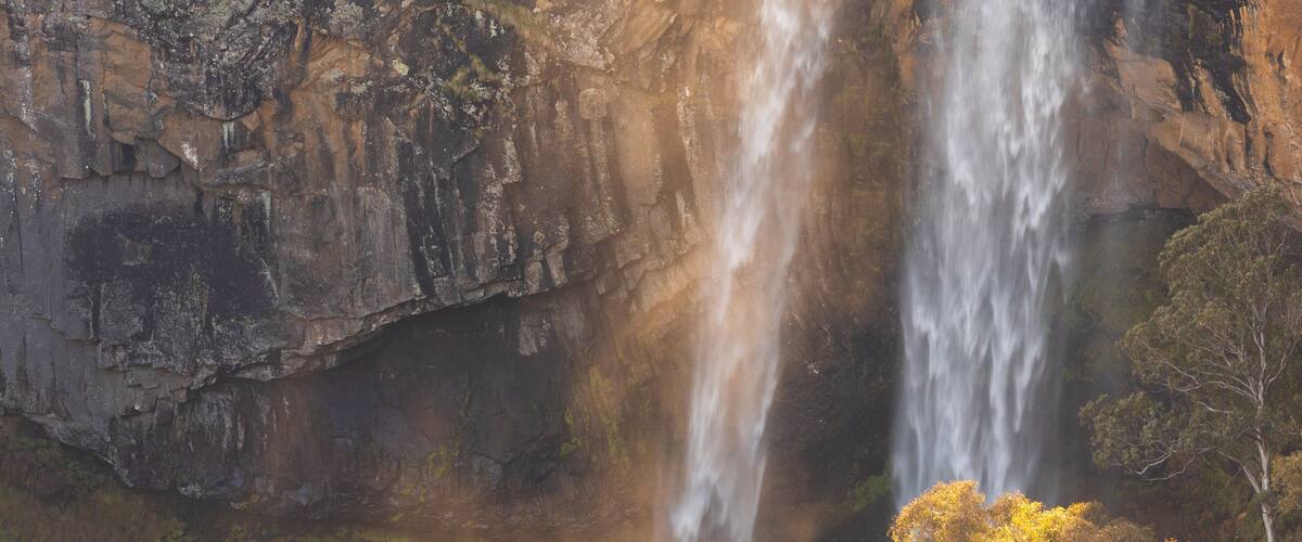 Ebor Falls showing a waterfall