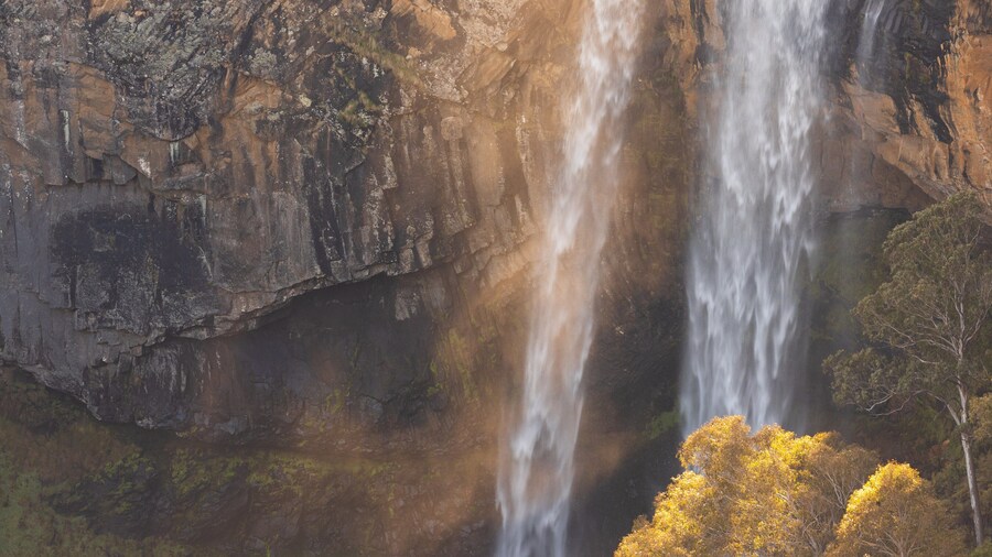 Ebor Falls showing a waterfall