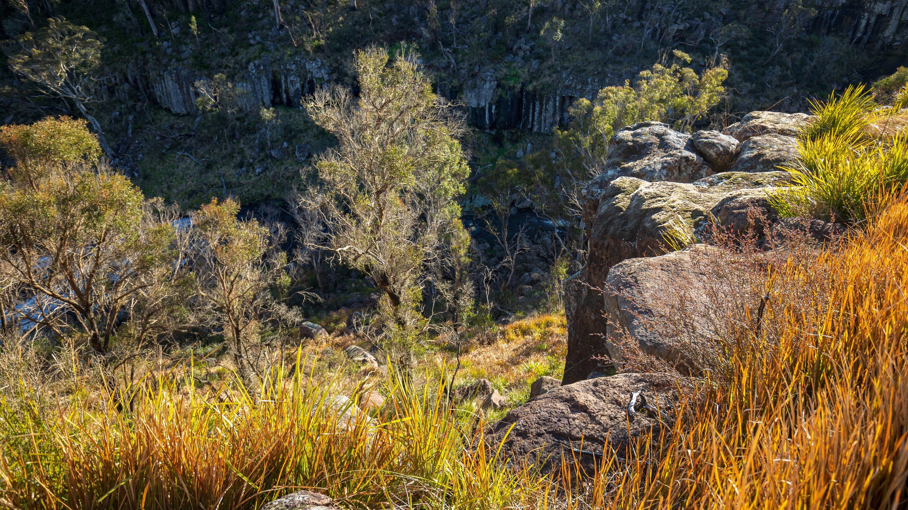 Ebor Falls featuring tranquil scenes