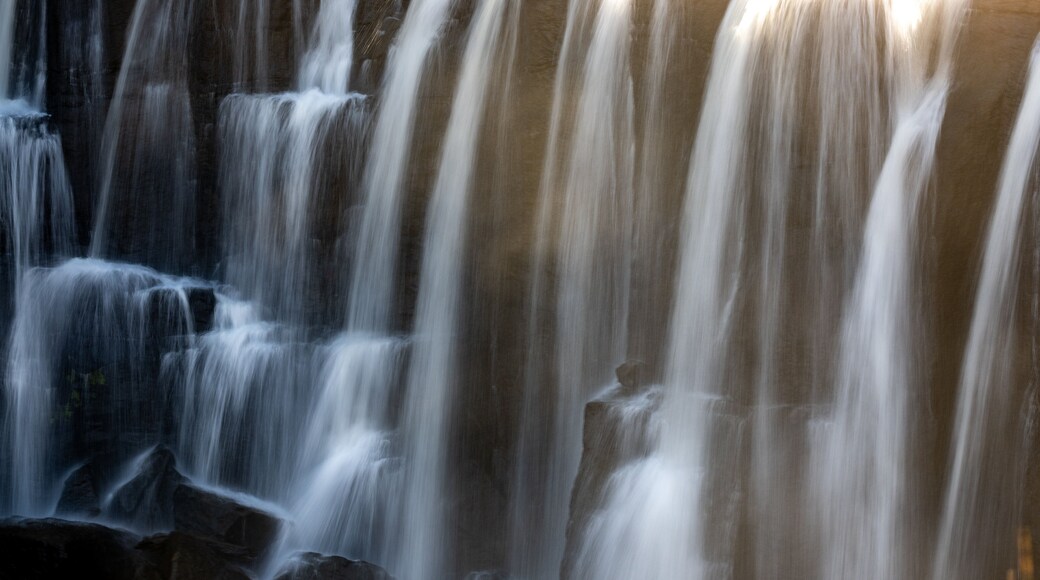 Ebor Falls featuring a waterfall