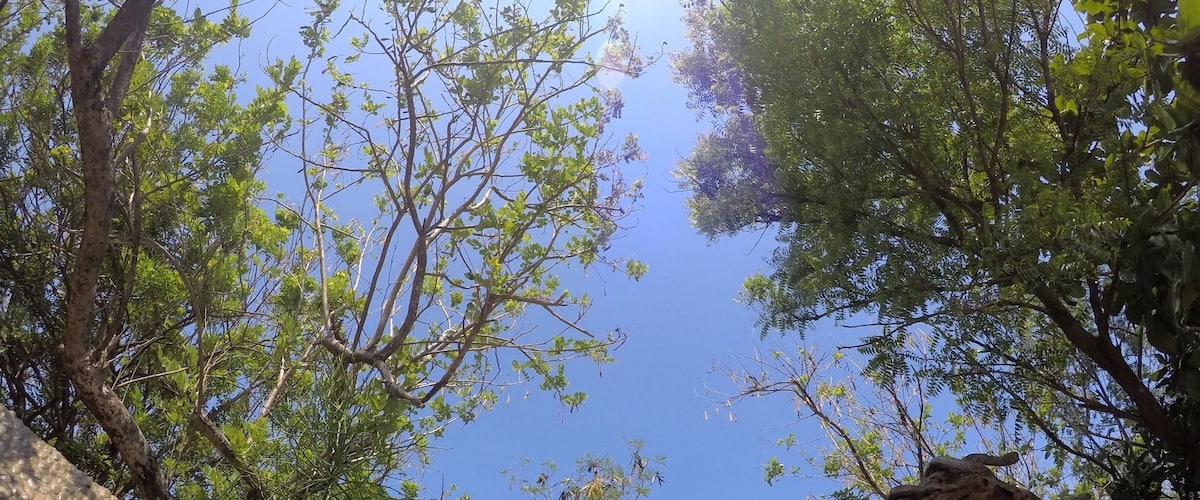 Tropical Vibes Welcomes you when you visit this art gallery.
#bahaynabato