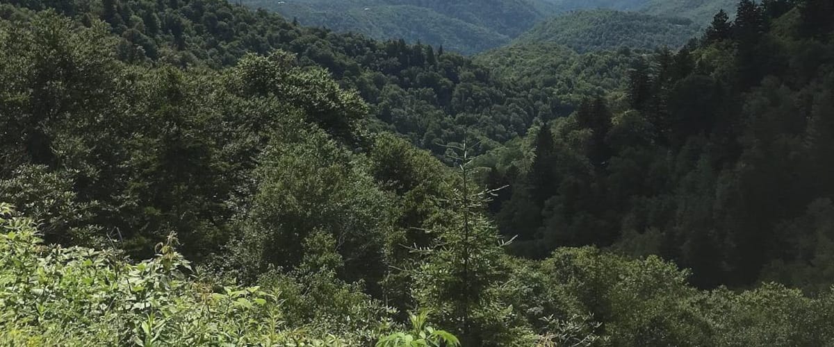 Beautiful views along the Blue Ridge Parkway #adventure