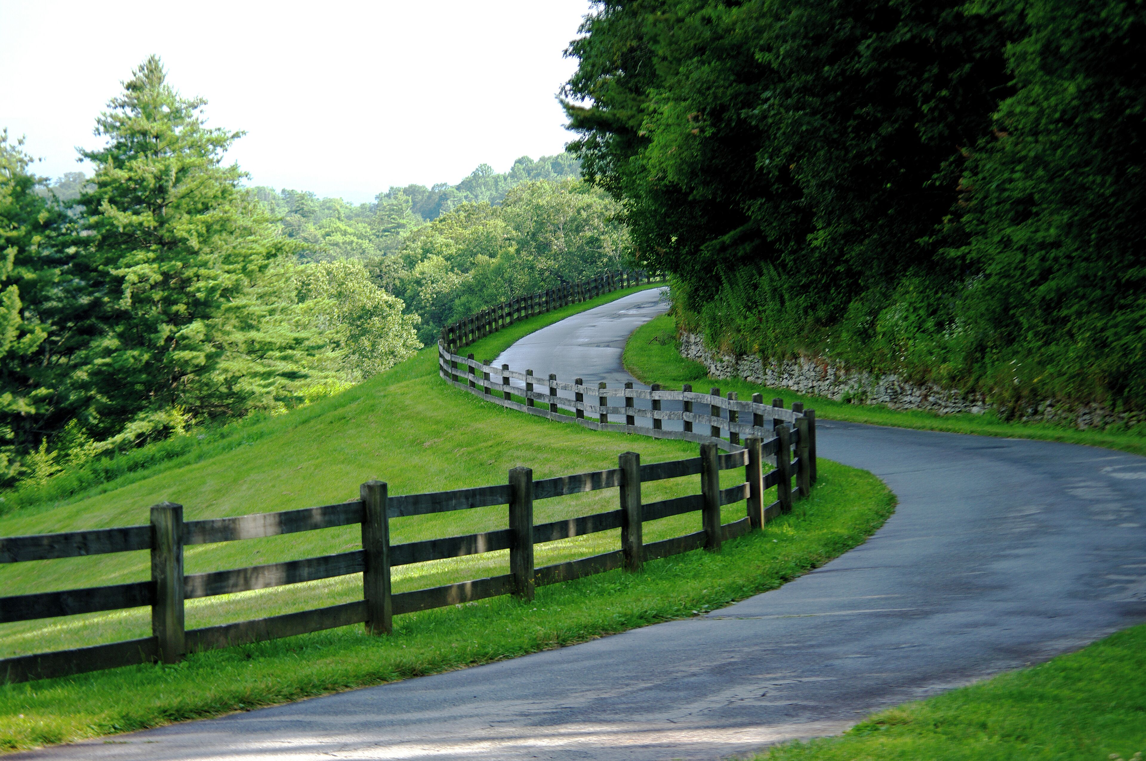 Along the Blue Ridge Parkway.