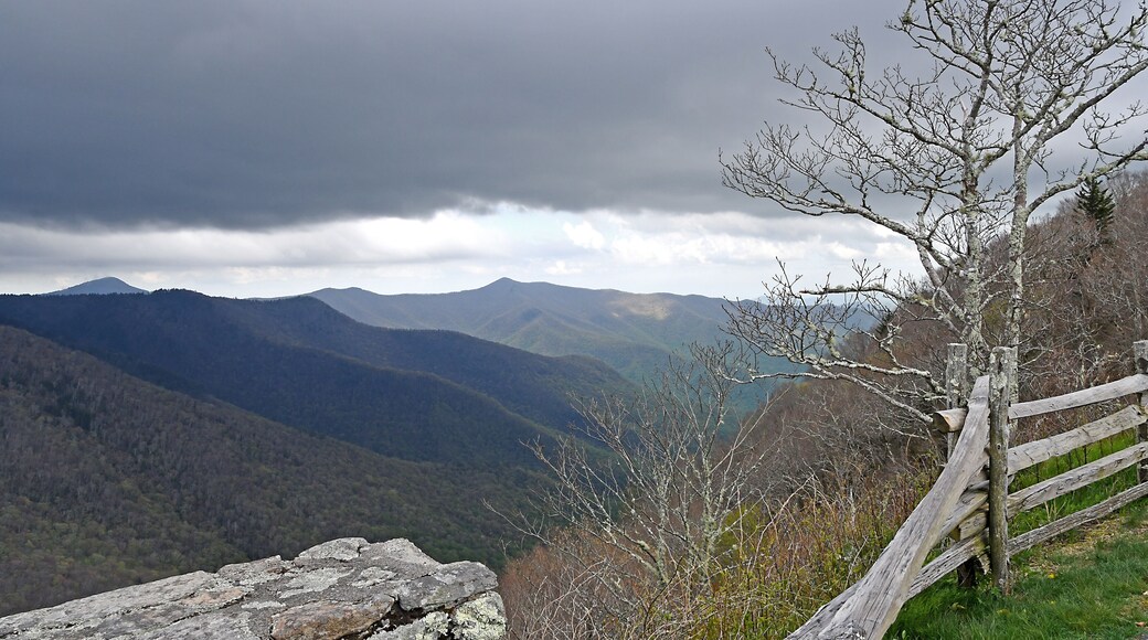 This months topic for a small photo study group I belong to is fences This is one of the photos. I am going to present.