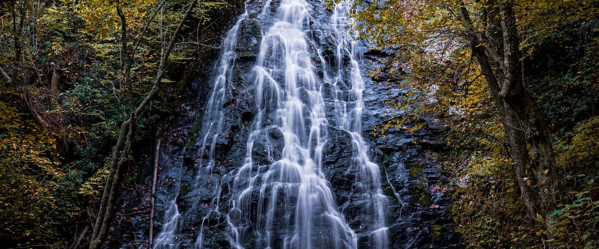 After a couple miles of hiking we were rewarded with this waterfall dressed in its finest fall attire
#trovember