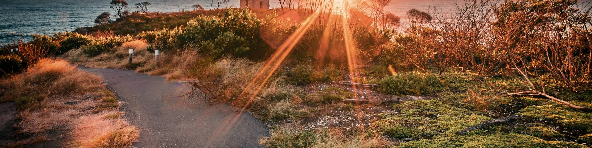 The view of the Boyd's Tower in Eden with the sunrise from the sea