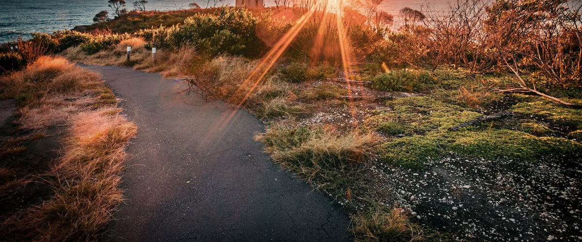 A coastal path with a tower, sunset, and vegetation.