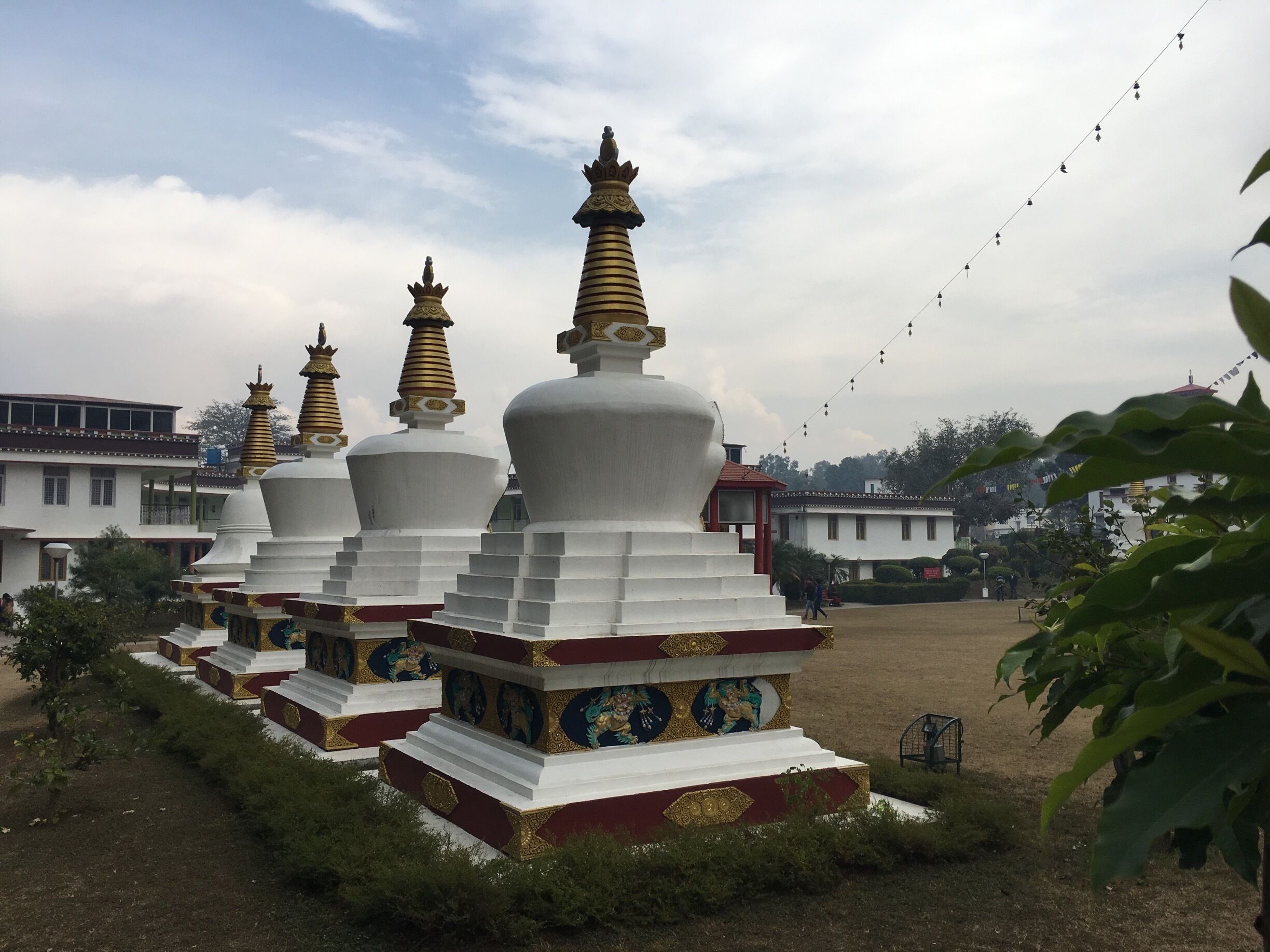 A row of white stupas with golden spires, surrounded by greenery and buildings in the background.