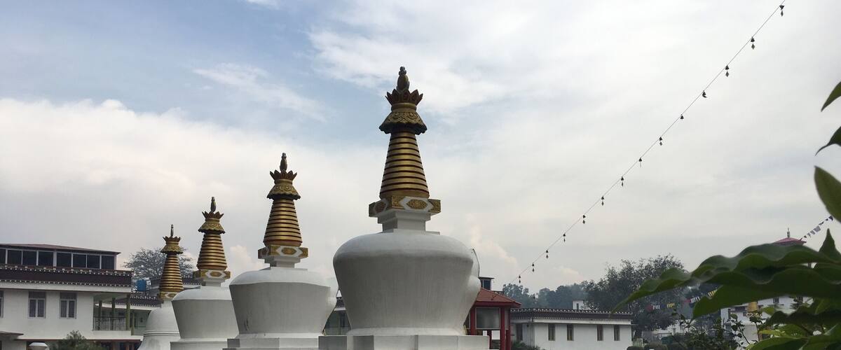 A row of white stupas with golden spires, surrounded by greenery and buildings in the background.