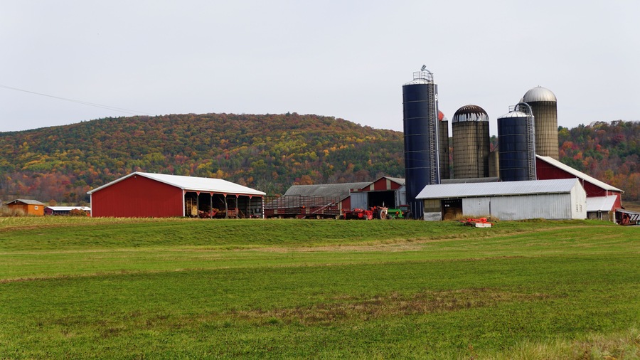 A farm surrounded by striking color of fall foliage near Troy, Pennsylvania, U.S.A