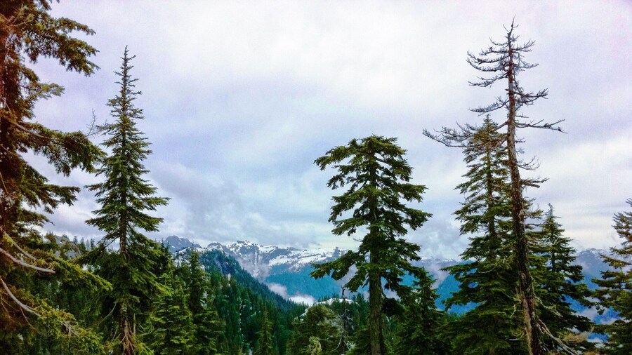 The Canadian border is just a hop, skip, and a jump from Seattle and the Expedia HQ, so this trip took me to Vancouver and beautiful Grouse Mountain. Even though it looks very remote, you can actually get there by public transport and a cable car can take you all the way to the top if you're not in the mood for hiking. #LifeAtExpedia