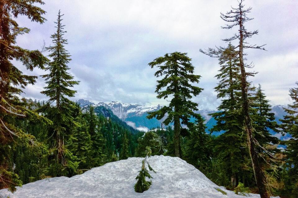 A snowy mountain landscape with evergreen trees and distant snow-capped peaks.