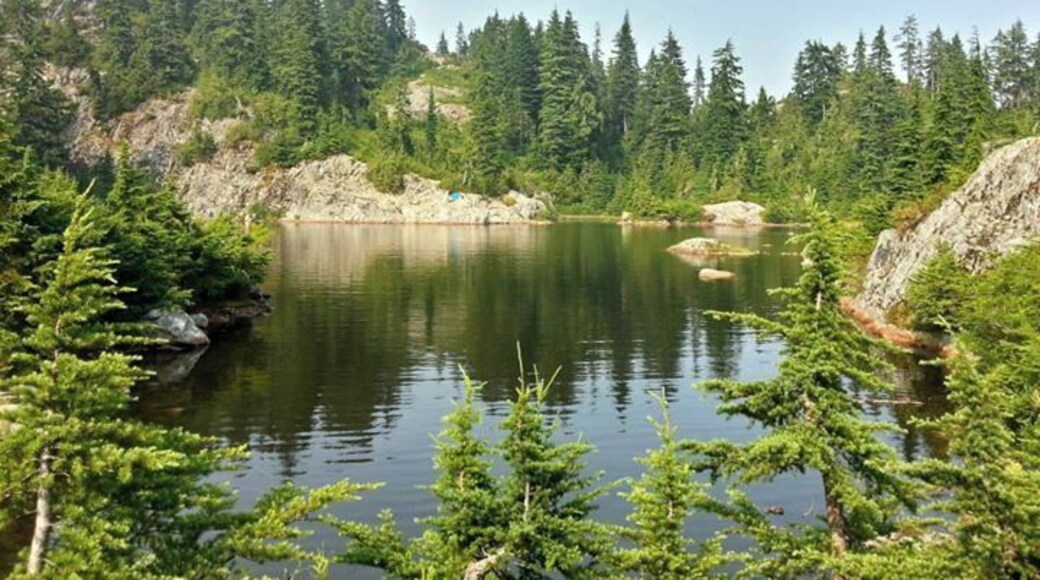 A short hike (all uphill) from the parking area, this is a great place to cool off on a hot day.