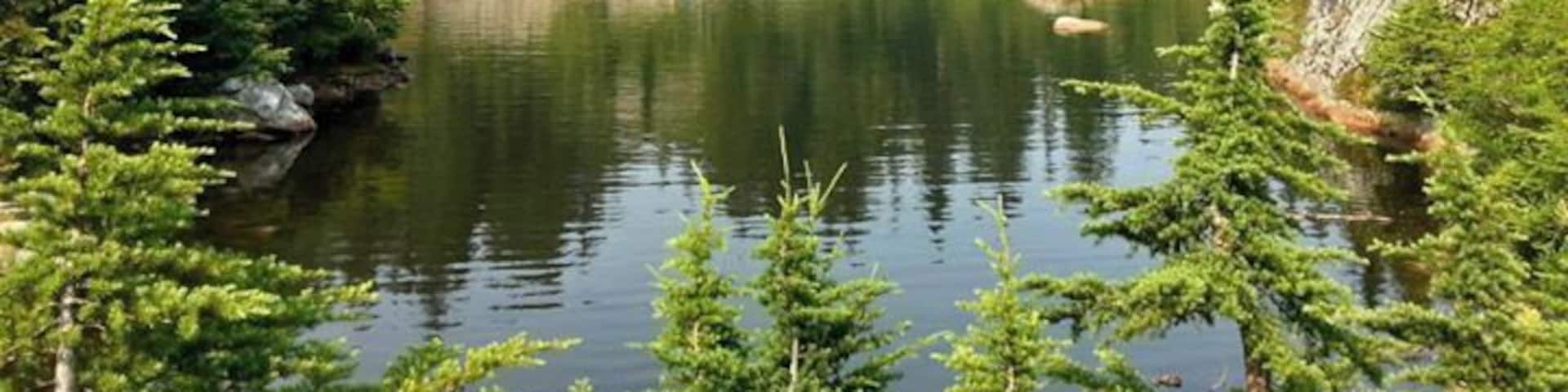 A short hike (all uphill) from the parking area, this is a great place to cool off on a hot day.