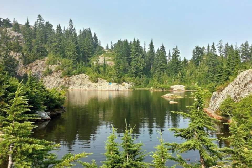 Un lac paisible, entouré d’une forêt dense et d’un paysage rocheux.